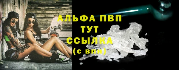 шишки Арсеньев