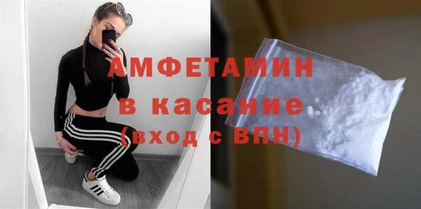 шишки Арсеньев