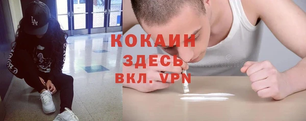шишки Арсеньев