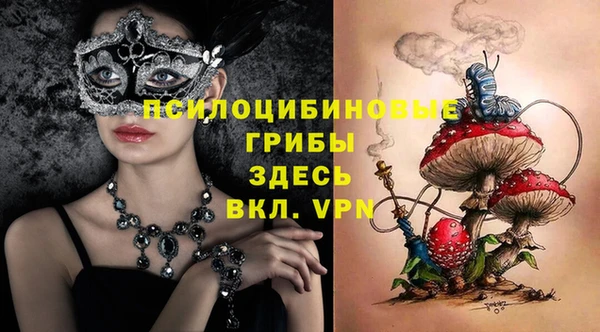 ECSTASY Аркадак