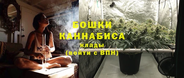 шишки Арсеньев