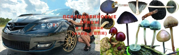 ALPHA PVP Армянск