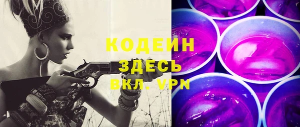 шишки Арсеньев