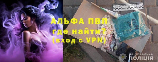шишки Арсеньев