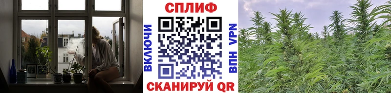 Конопля Amnesia Ахтубинск
